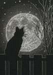 Black Moon Cat